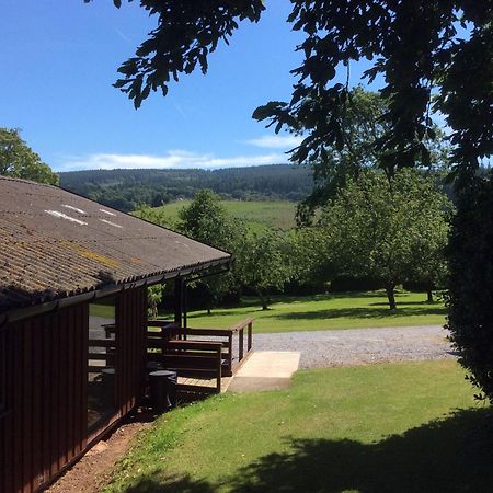 Laburnum Lodge Sleeps 6 Wheelchair Access Minehead Dış mekan fotoğraf